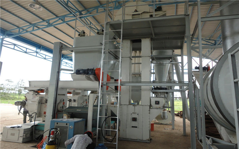 泰国带烘干设备的生物质燃料成套设备生产线